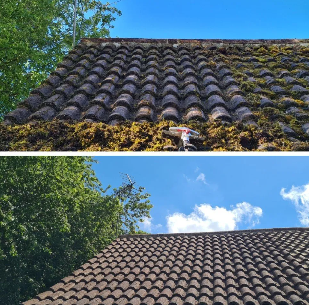 démoussage à blanzy devis